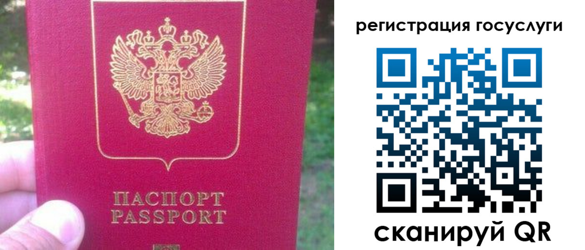 временная прописка в Александровске